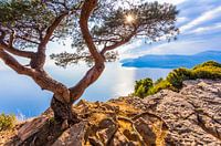 De Corniche des Crêtes aan de Côte d'Azur in Frankrijk