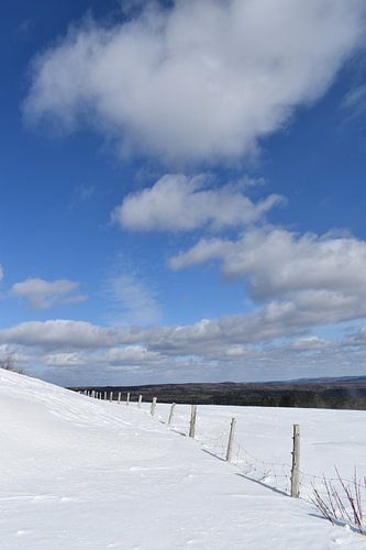 Blauwe luchten op een winterdag