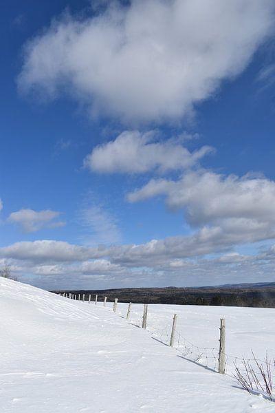 Blue skies on a winter day by Claude Laprise