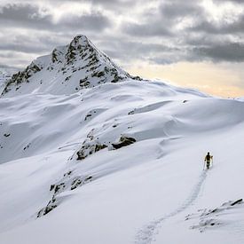 Alone in a snow-white wonderworld by Jonathan Vandevoorde