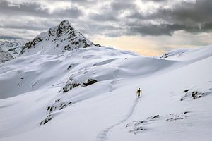 Alleen in een sneeuwwitte bergwereld van Jonathan Vandevoorde