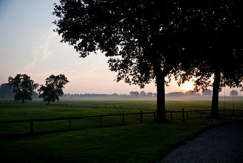 ochtendlicht