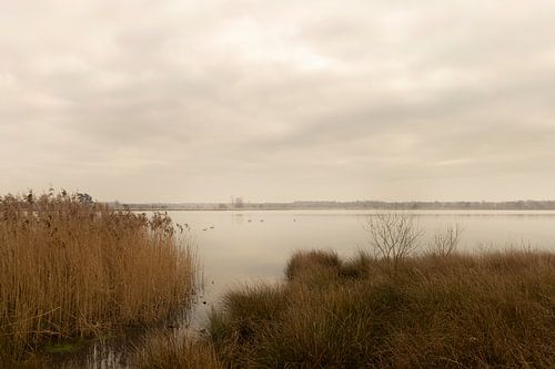 Landschap met water en vogels bij het Goorven te Esbeek op landgoed de Utrecht