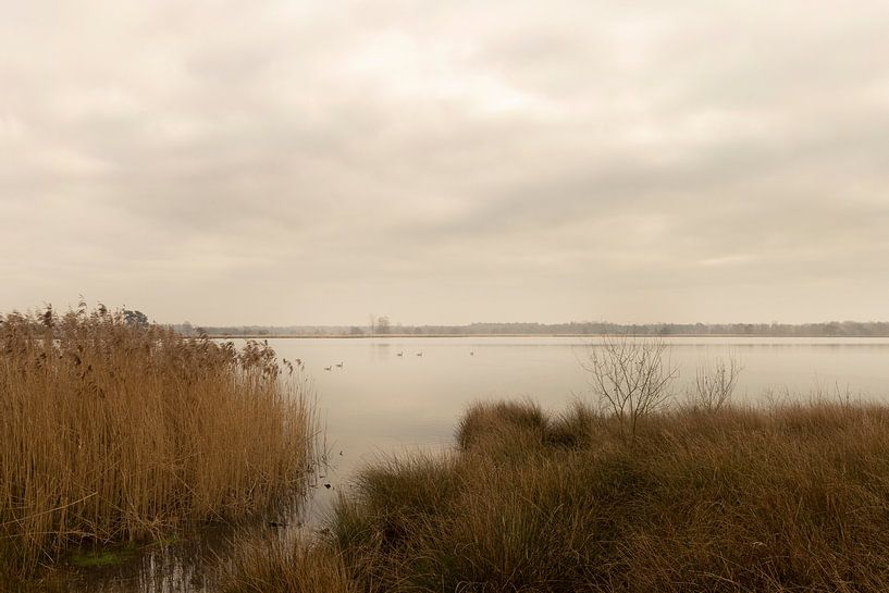 Landscape The Goorven in Esbeek part of estate the Utrecht by Marianne van der Zee