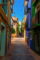 Colours splash through the street