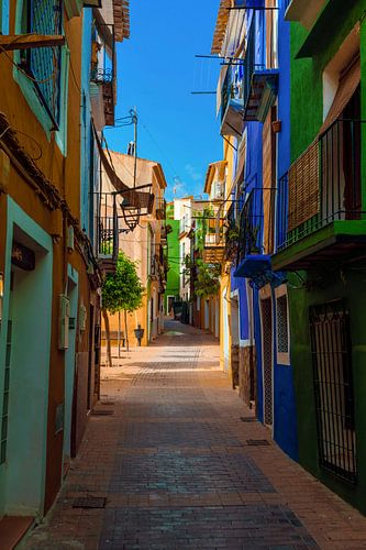 Colours splash through the street