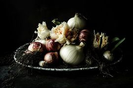 Bloei in de bol van Franka Poulain