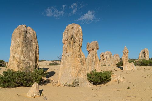 Nambung National Park, West-Australië