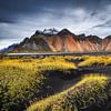 De majestueuze Vestrahorn bergketen in de herfst van Chris Stenger