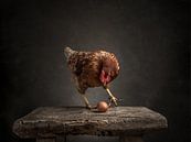De kip en het ei   - Serie - 3/3 van Mariska Vereijken thumbnail