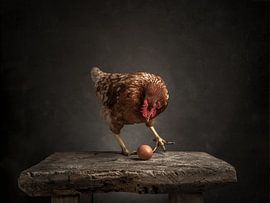 De kip en het ei   - Serie - 3/3 van Mariska Vereijken