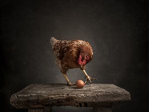 Das Huhn und das Ei - Serie - 3/3
