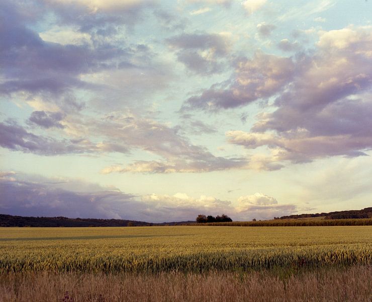 Het veld van Patrick Dreuning