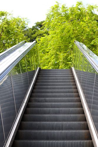 Roltrap naar de bomen