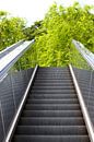 Escalator to the trees by Martijn Stoppels thumbnail