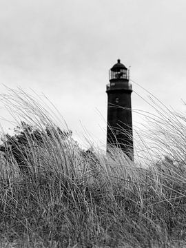 Leuchtturm Darßer Ort schwarz-weiß