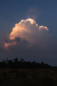 dramatisch onweerswolk boven de jungle van Joep van de Zandt