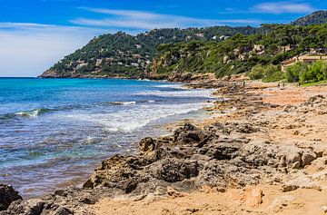 Plage de Canyamel, côte de la baie sur l'île de Majorque sur Alex Winter