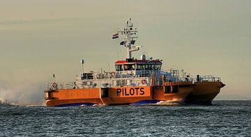 Loodsboot passeert de kustlijn van Zoutelande van MSP Canvas