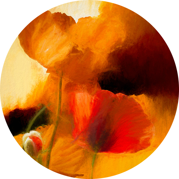 coquelicot rouge van Andreas Wemmje