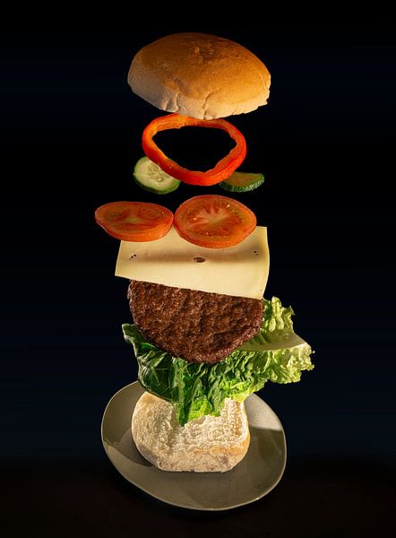 De vliegende hamburger, deel 2. van Pieter van Roijen