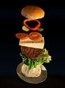 De vliegende hamburger, deel 2. van Pieter van Roijen thumbnail