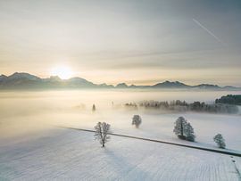 Winterlandschap met sneeuw