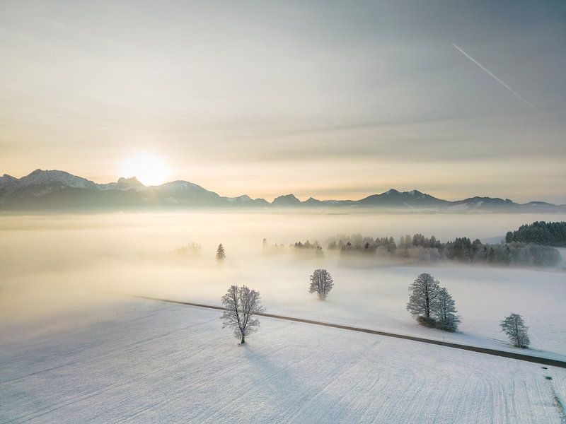 Winterlandschaft mit Schnee von Mustafa Kurnaz