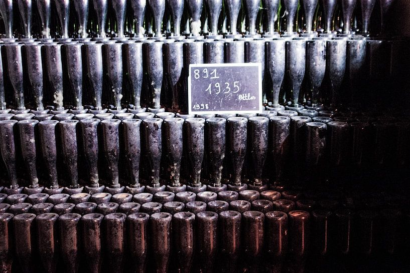 Ein Jahr Champagner von Hugo Braun