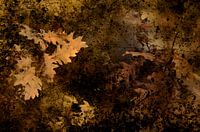 Stimmungsvolles Herbstlaub.