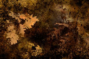 Sfeervolle herfstbladeren. van Cees van Gastel