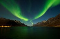 Aurore boréale dans un fjord par Johan van Esch Aperçu