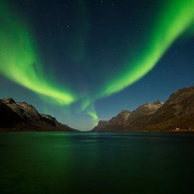 Noorderlicht in een fjord van Johan van Esch