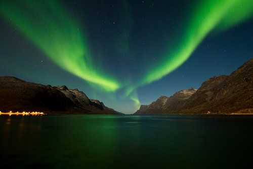 Nordlicht in einem Fjord