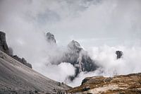 Clouded and shrouded