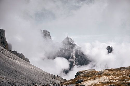 Clouded and shrouded