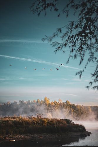 Morgenstimmung am See