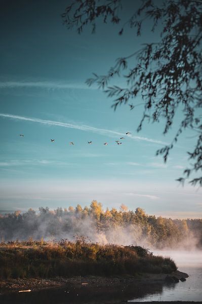 Morgenstimmung am See von Felix Winkelhausen