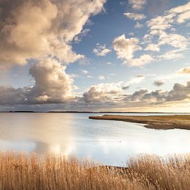 Dark Sky Park Lauwersmeer, Groningen von Jacky Keeris