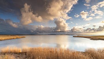 Dark Sky Park Lauwersmeer, Groningen