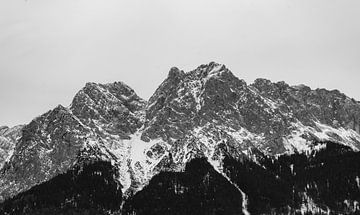 Besneeuwde Zugspitze in de Alpen Zwart-wit fotografie van Animaflora PicsStock