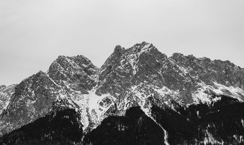 Snow covered the Zugspitze in the Alps Black and white photography by Animaflora PicsStock