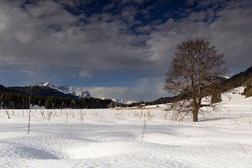 Winter am Geroldsee