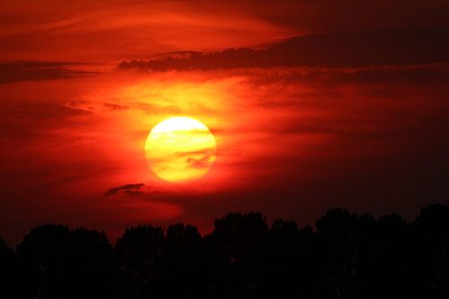 La nature dans toute sa splendeur