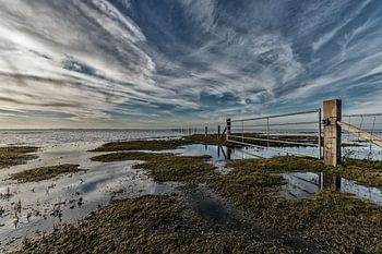 Hek bij de Slikken van Flakkee