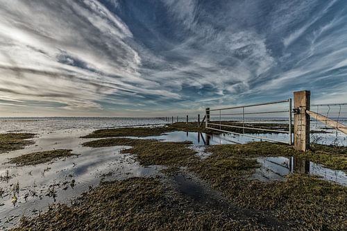 Hek bij de Slikken van Flakkee
