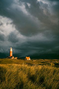 Texeler Leuchtturm in den Dünen an einem stürmischen Herbstmorgen von Sjoerd van der Wal Fotografie