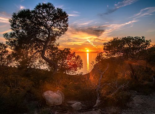 landschap- zonondergang-spanje