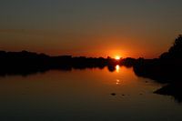 Bush river dreams