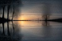 Reflectie van zonlicht en bomen in het water 1